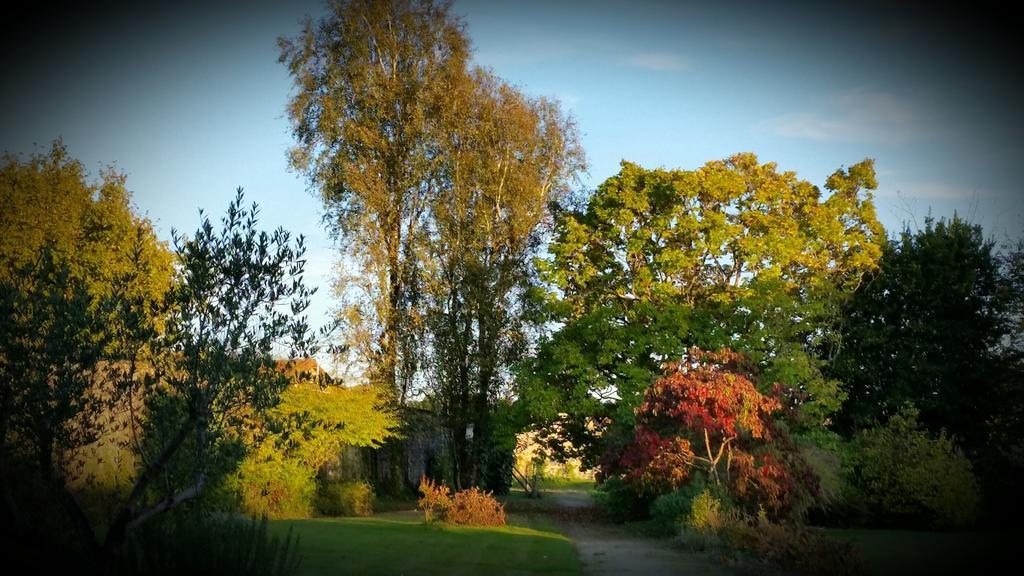 Le Clos De La Muse Saint-Junien Exteriör bild